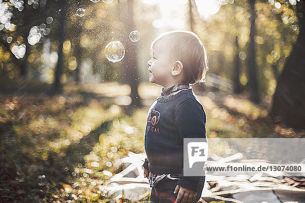 Seitenansicht eines süßen kleinen Jungen  der im Herbst im Park mit Seifenblasen spielt