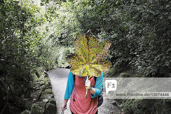 Frau  die ihr Gesicht mit Blättern bedeckt und auf der Straße inmitten von Bäumen steht