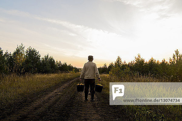 Rear view of man holding buckets while standing on dirt road at field against sky
