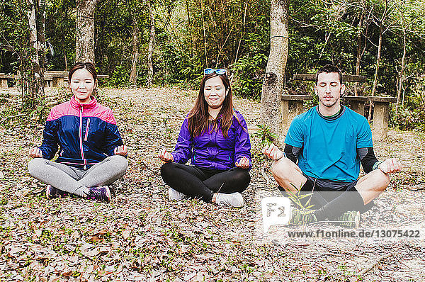 Freunde meditieren  während sie auf einem Feld im Wald sitzen