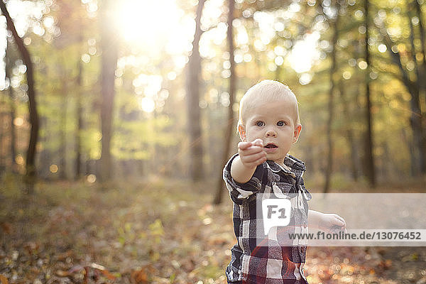 Baby boy looking away while standing in forest