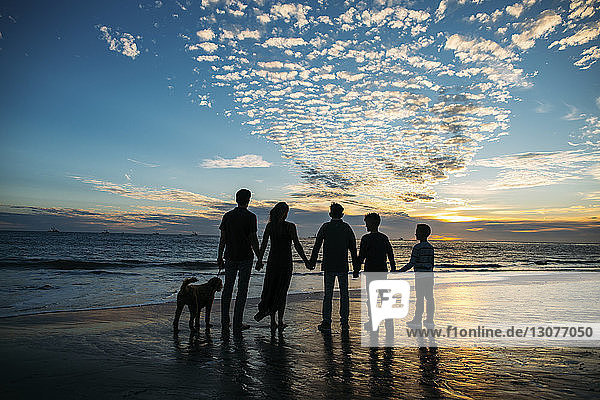 Rückansicht einer Familie  die sich bei Sonnenuntergang am Strand vor bewölktem Himmel an den Händen hält  während sie am Hund steht