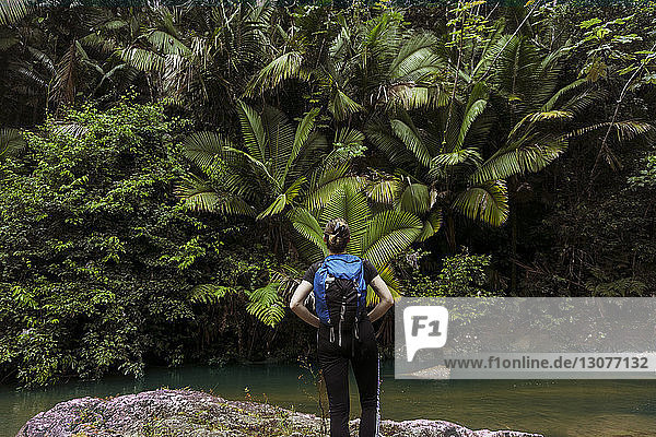 Rear view of woman with backpack standing at lakeshore in El Yunque National Forest