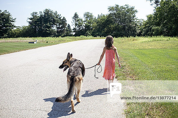 Rear view of girl walking with German Shepherd on road during sunny day amidst grassy field