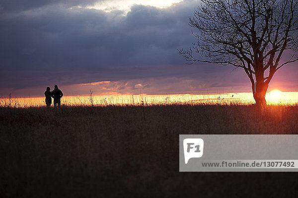 Silhouettenpaar steht auf Grasfeld vor dramatischem Himmel