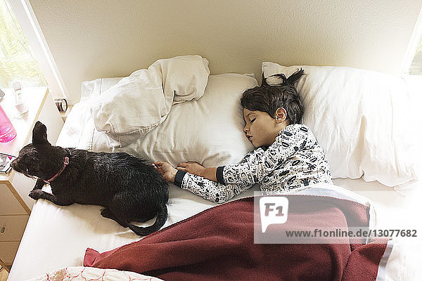 Hochwinkelaufnahme eines Jungen  der zu Hause mit seinem Hund auf dem Bett schläft