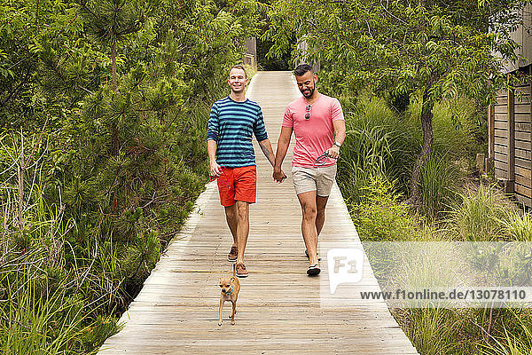 Happy homosexual couple talking while walking with Chihuahua on boardwalk