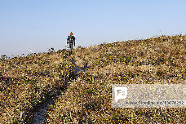 Male hiker walking on grassy mountain