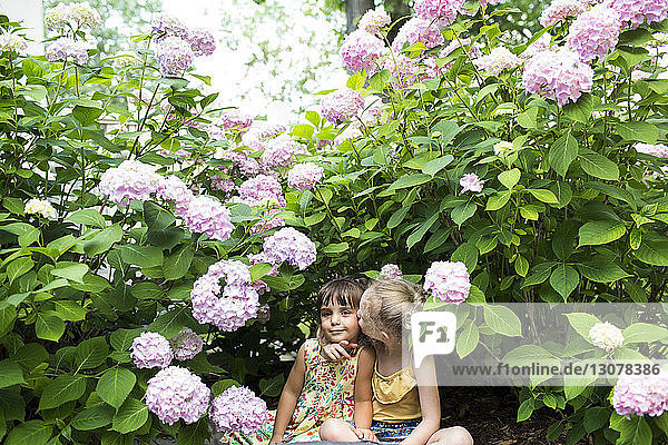 Girl kissing sister while sitting by flowering plants in backyard