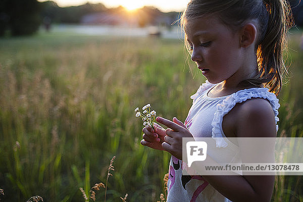 Girl looking at flowers in farm during sunset