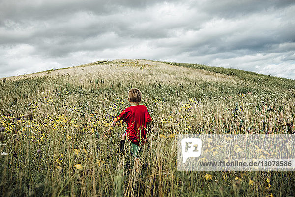 Rear view of boy walking on grassy field against cloudy sky