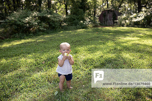 High angle view of cute baby girl eating pear while standing on grassy field