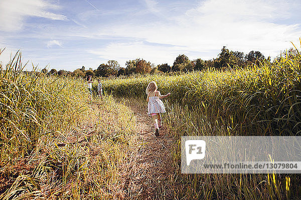 Rear view of girl running in corn field
