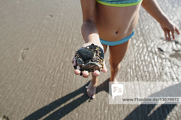 Niedrige Sektion eines Mädchens  das Kieselsteine hält  während es an einem sonnigen Tag am Strand steht