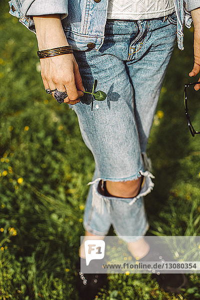 Low section of woman wearing torn jeans while standing on grassy field at park