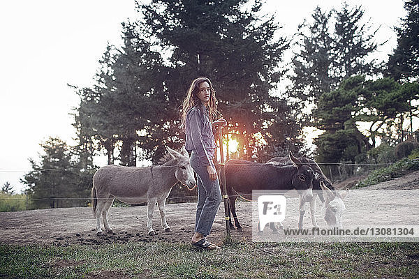 Porträt einer Frau mit Eseln auf einem Bauernhof