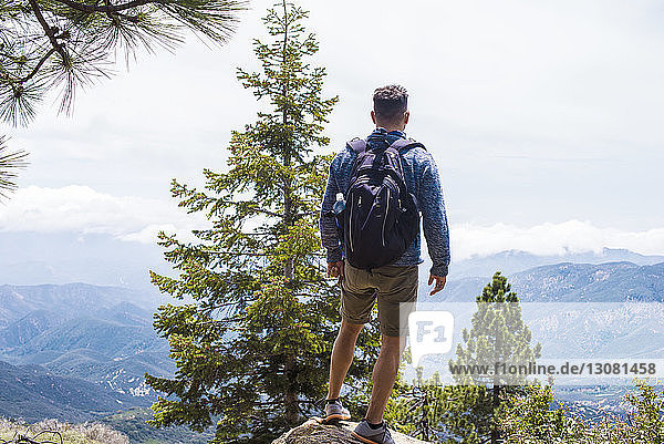 Rear view of hiker looking at forest