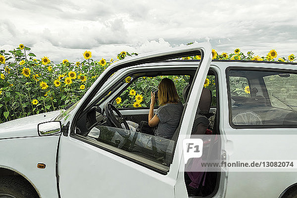 Frau fotografiert Sonnenblumenfeld  während sie im Auto sitzt