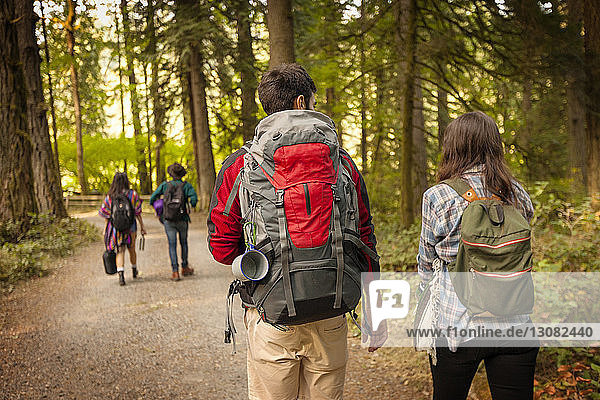 Rückansicht von Wanderern mit Rucksäcken  die im Wald auf der Strasse gehen