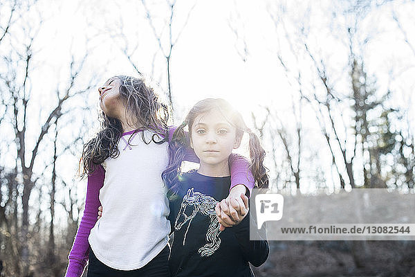 Porträt eines Mädchens  das mit seiner Schwester gegen den Himmel im Park steht
