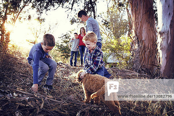 Familie geniesst mit Hund auf dem Feld inmitten von Bäumen
