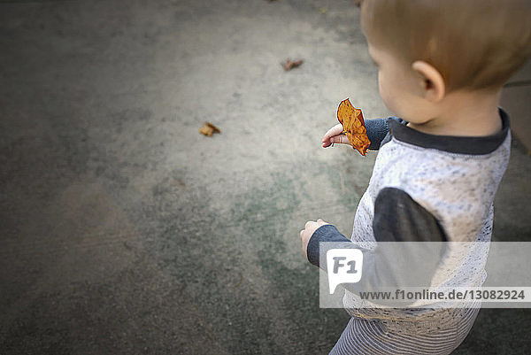 Hochwinkelansicht eines kleinen Jungen  der Ahornblatt hält  während er auf einem Fußweg geht