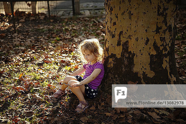 Süßes Mädchen sitzt am Baumstamm auf dem Feld im Park