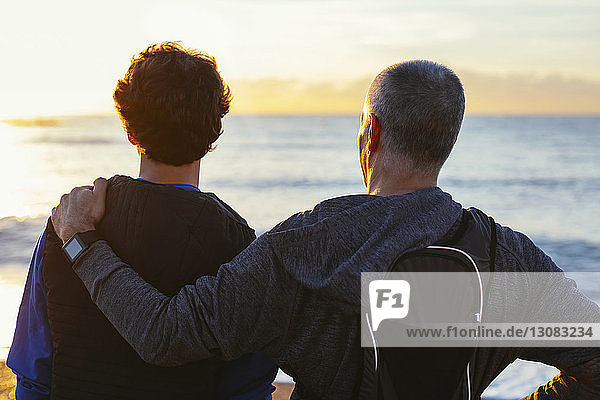 Father and son looking at view while standing at beach