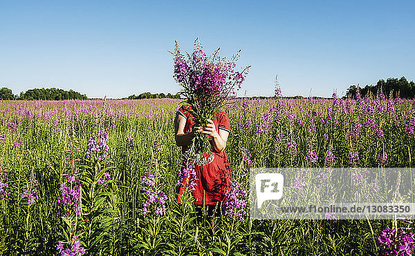 Weibliche Bäuerin versteckt Gesicht mit Blumen auf dem Bauernhof vor blauem Himmel