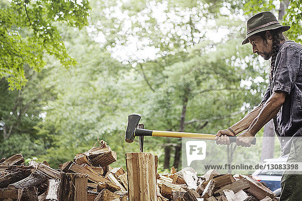 Mann schneidet Brennholz im Wald