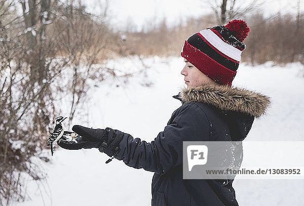 Side view of boy with bird perching on his hand while standing on snowy field