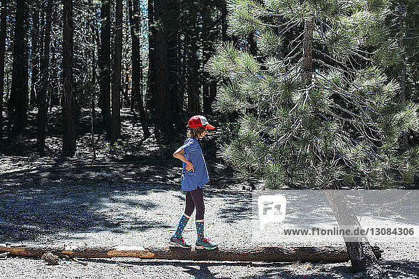 Side view of girl standing on tree trunk at Inyo National Forest