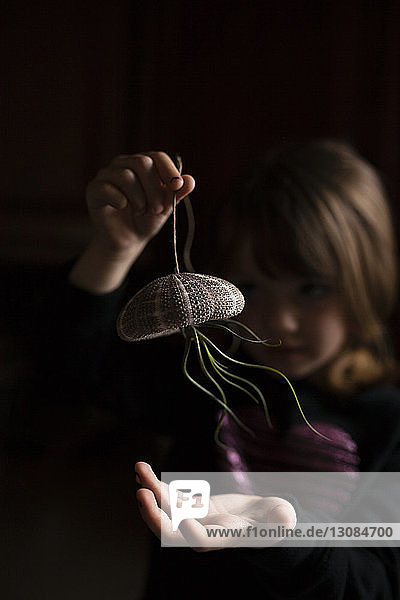 Mädchen spielt mit Luftpflanze  die am Seeigel in der Dunkelkammer hängt
