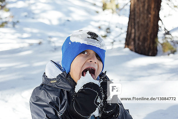High angle portrait of boy eating snow in forest