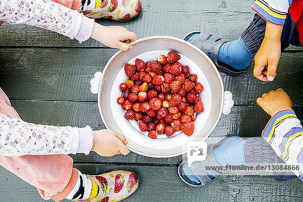Unterer Teil der Geschwister mit frisch geernteten Erdbeeren im Container auf dem Bodenbrett