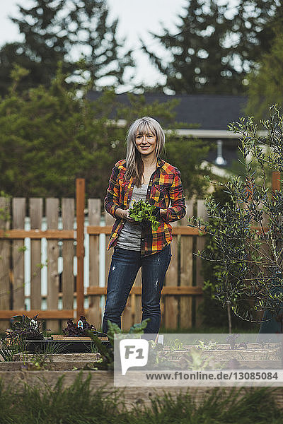 Porträt einer Frau  die eine Pflanze hält  während sie im Hinterhof steht