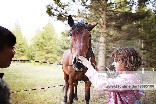 Mädchen mit Schwester und berührendem Pferd auf dem Feld stehend