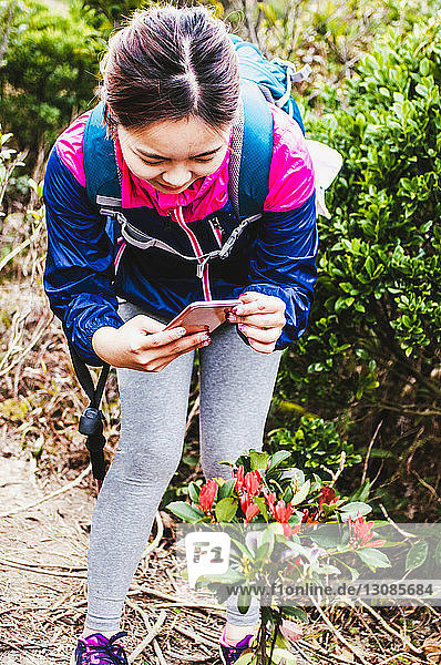 female hiker photographing plants with mobile phone while standing in forest