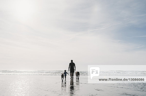 Rückansicht von Vater und Tochter mit Hunden  die am Strand gegen den Himmel laufen