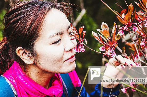 Nahaufnahme einer Wanderin beim Betrachten von Blumen im Wald
