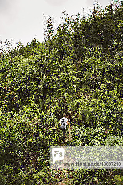 Hochwinkelaufnahme einer Frau mit Rucksack beim Wandern auf dem Feld inmitten von Pflanzen
