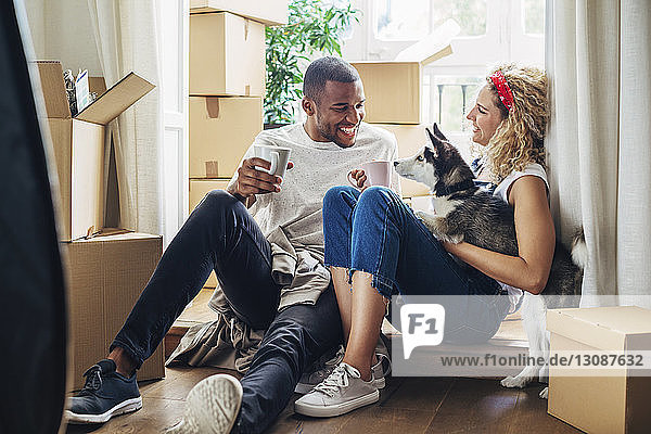 Glückliches Paar spielt mit Hund  während es im neuen Haus an der Tür sitzt