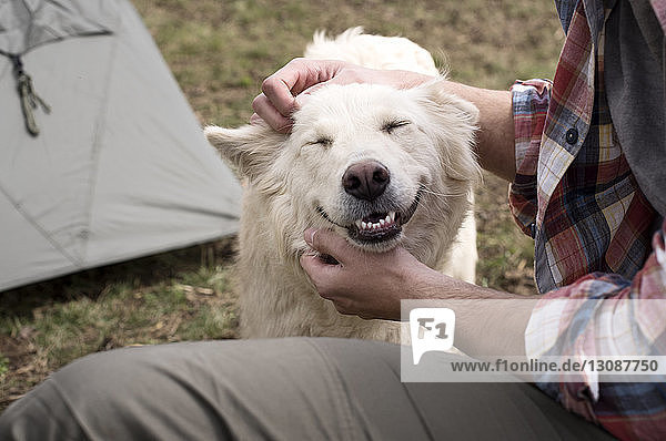 Mitschnitt eines streichelnden Hundes auf dem Campingplatz