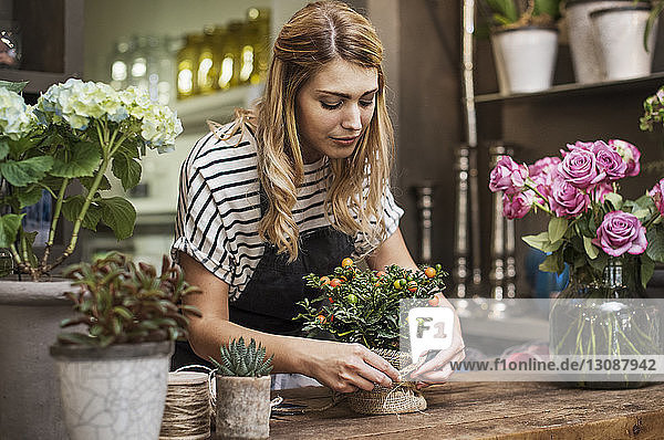 Florist beim Arrangieren von Blumen am Tisch im Geschäft