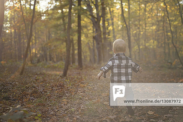 Rückansicht eines kleinen Jungen  der im Wald spazieren geht