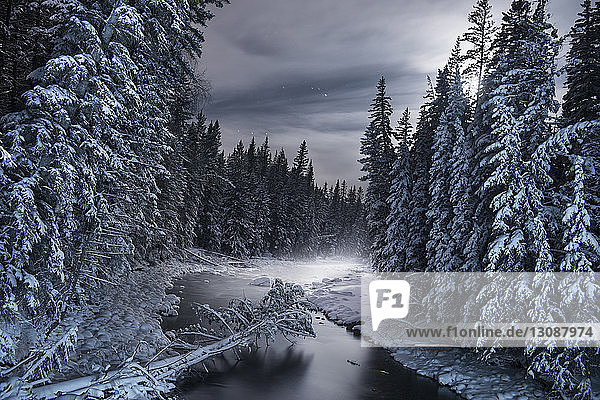 Scenic view of frozen river amidst snow covered trees