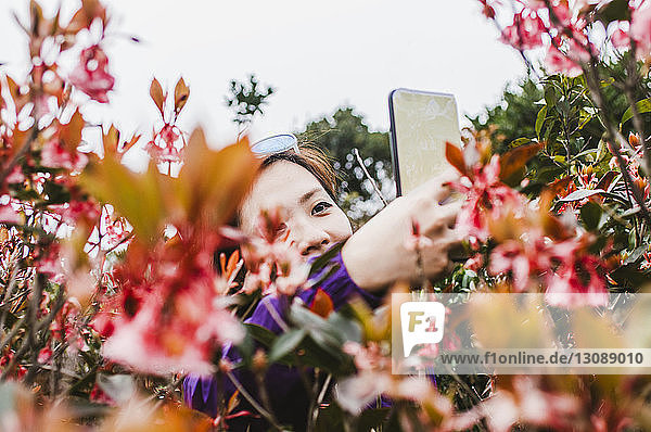 Wanderin fotografiert Pflanzen mit dem Handy  während sie gegen den Himmel steht