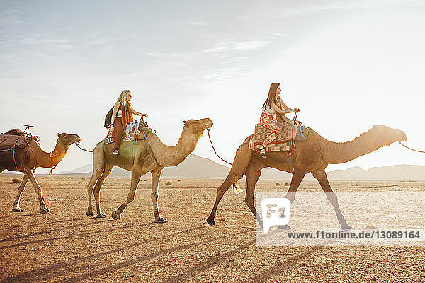 Weibliche Freunde reiten auf Kamelen in der Wüste gegen den Himmel bei Sonnenschein