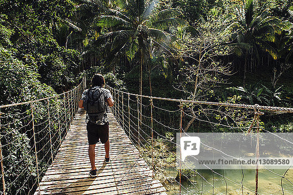 Rear view of man with backpack walking on footbridge over river in forest