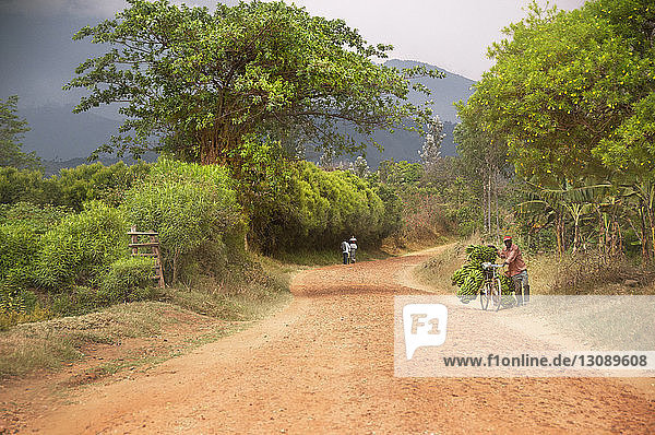 Vendor with bananas on bicycle walking on dirt road amidst trees